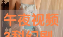 午夜视频播放,揭秘热门视频播放背后的故事